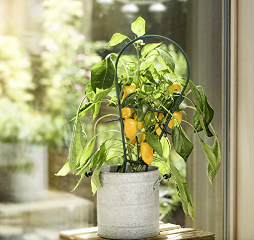 Windhager Kunststoff-Bogenspalier, Blumenstütze, Rankhilfe für Kletterpflanzen, Blumenpalier, Kletterhilfe für Blumen, 44 x 19 cm, grün, 05714