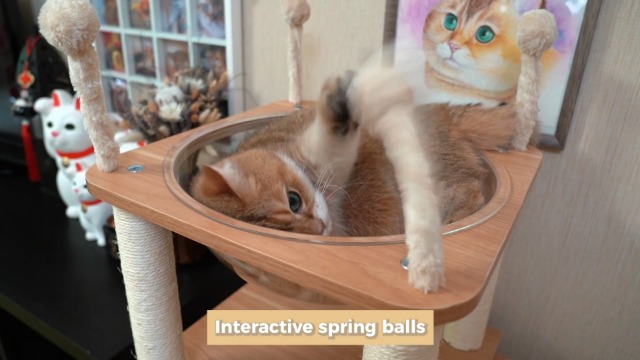 PETEPELA(ぺテぺラ) キャットタワー 木製 宇宙船 大型猫 爪研ぎ 爪とぎポール 天然麻紐 据え置き 猫タワー 透明ハンモック 猫ハウス 多頭飼い 運動不足解消 頑丈耐久 お手入れ簡単 中敷クッション付き - ベージュ 130cm Amazon.co.jp: PETEPELA(ぺテぺラ) キャットタワー 木製 宇宙船 大型猫