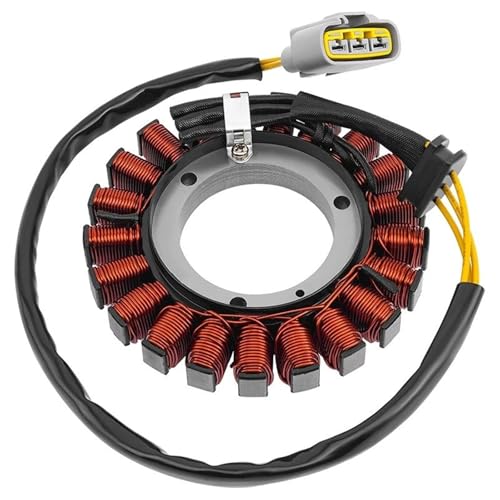 Stator pour BMW R1200GS K50 K51, bobine alternateur générateur de moto R1200R K53