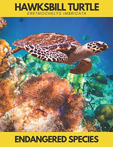 Hawksbill Turtle (Eretmochelys imbricata): Endangered Species.Save the Animals.Lined Notebook Journal (Save Animals)