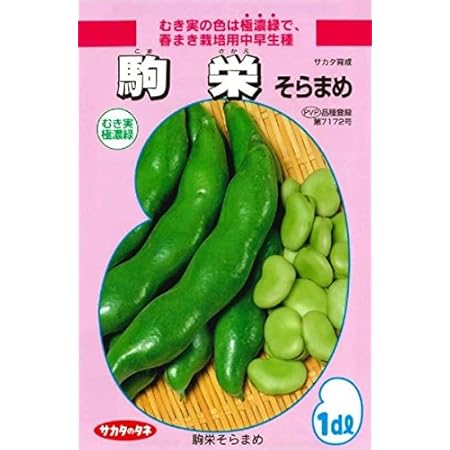 Amazon サカタのタネ 秋春そらまめ 駒栄 1dl 野菜