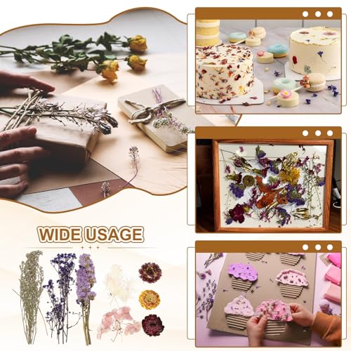 Conjunto de 2 Sets de Flores Secas Naturales miniatura 6