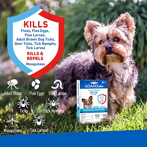 Adams Plus Flea  Tick Prevention Spot on for Dogs 514 Pounds 12 Weeks  Older 3month Supply Kills Fleas Flea Eggs Flea Larvae Brown Dog  Deer Ticks Kills and Repels Mosquitoes for 30 Days  Cucciolini Doodles Adams plus flea  tick prevention spot on for dogs 5 14 pounds 12 weeks  older 3 month supply kills fleas flea eggs flea larvae brown dog  deer ticks kills and repels mosquitoes for 30 days   cucciolini doodles