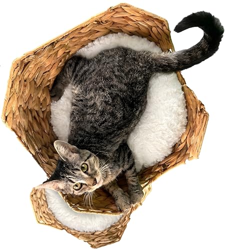 Torre para gatos COZY & FETCH con poste para rascar de madera miniatura 7