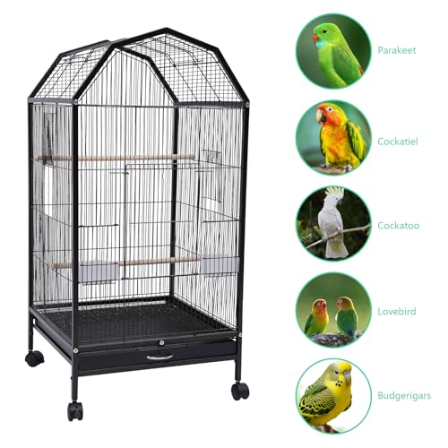 40 Inch Wrought Iron Bird Cage with Rolling Stand Metal 360 Degree View Spacious Interactive Roof Durable and Rustproof for Parrots Finches Lovebirds Budgie Canaries Macaw