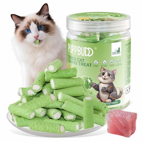 PUPPBUDD Katzengras Snacks mit Huhn