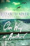 One Way or Another: A Novel