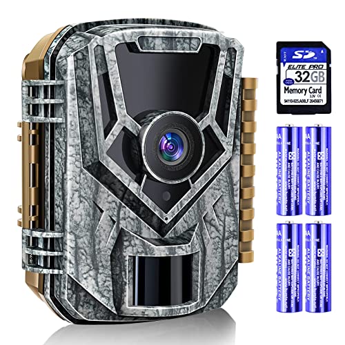 The Best Trail Camera Best Cost