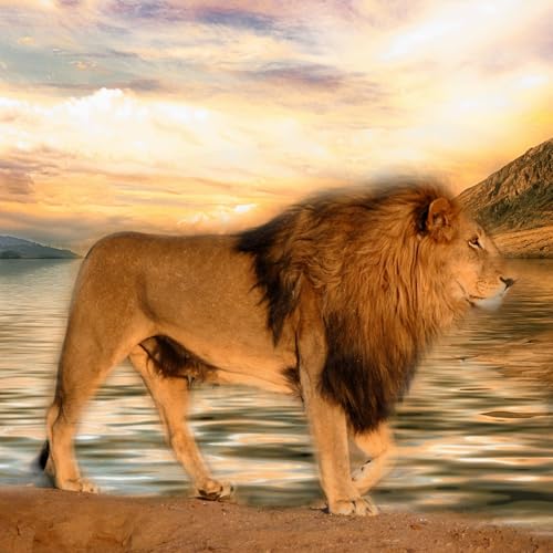 ADDBIBLE® Philippians 1 - Walking Worthy of the Gospel Podcast Por  arte de portada