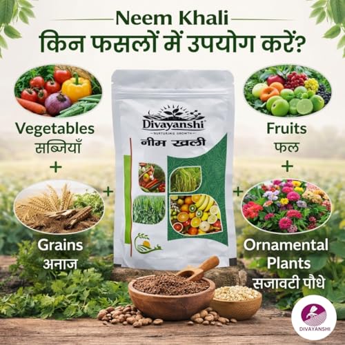 Image of Divayanshi Neem Khali Fertilizer | Organic Neem Cake Powder for Plants | Natural Pest Control, Soil Conditioner & Growth Booster | For Garden, Pots & All Plants-500 gm
