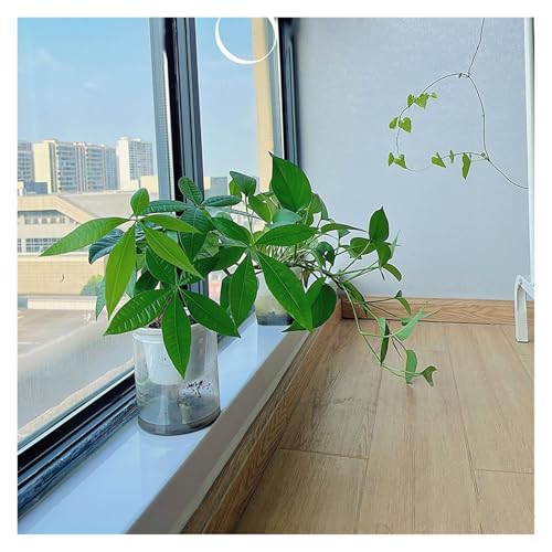 Tablero de repuesto para ventana de balcón y cocina resistente a la humedad 3