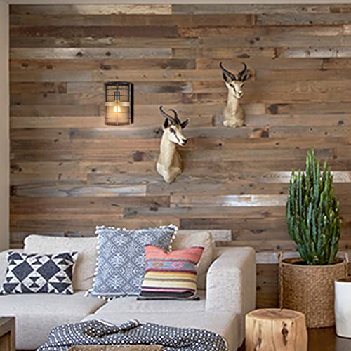 HYDELITE-Farmhouse-Wall-Sconce-Black-Wall-Light-Cage-with-Wood-Grain-Finish-1-Light HYDELITE Farmhouse Wall Sconce Black Wall Light Cage with Wood Grain Finish 1 Light