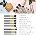 Makeup Brush Set - Premium Synthetic 10pcs Mini Eyeshadow Powder Eyebrow Eyeliner Blush Foundation Concealer Cosmetic Brushes (Black Golden)