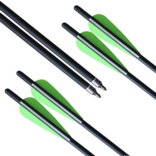 Reegox 20 Inch Crossbow Bolts Bio With 4-Inch Vanes(Pack Of 12) #TOP4