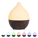 SALKING Essential Oil Diffuser, 100ml Small Aromatherapy Diffuser for Essential Oils, Auto Shut-Off Ultrasonic Diffusers, Cool Mist Humidifier with Warm White Lights, for Office Home (Dark)