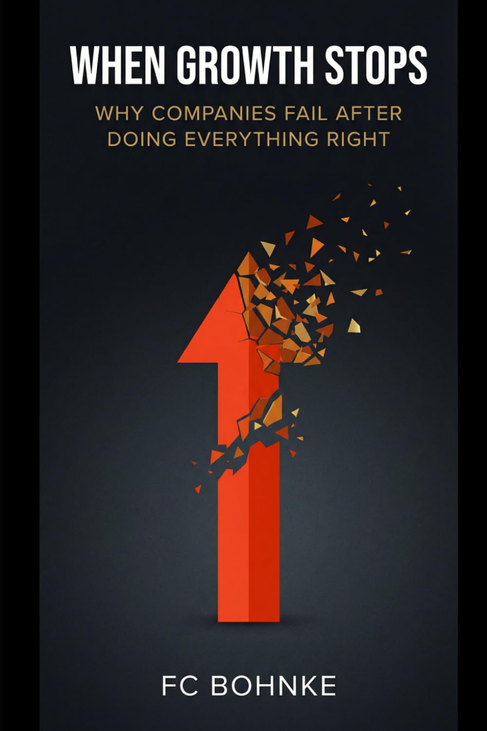 When Growth Stops - Why Companies Fail After Doing Everything “Right” (The Modern Leadership Series)