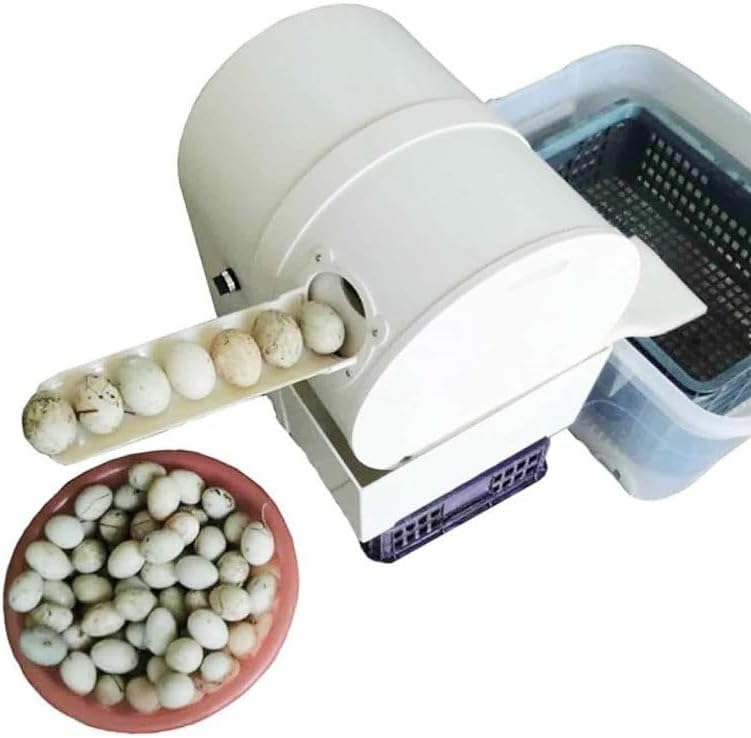 220V Electric Egg Washing Machine, Automatic Egg Washer Machine, Egg Washing Machine Household Poultry Farm Egg Washing Machine