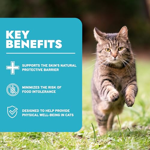 Forza10 - Cat Food, Vet-Approved Hypoallergenic Wet Cat Food, Non GMO, Salmon Flavor, Adult Cats with Allergies, Skin & Coat Support, Made in Italy (3.5 oz, 32 Pack) - Thumbnail 3