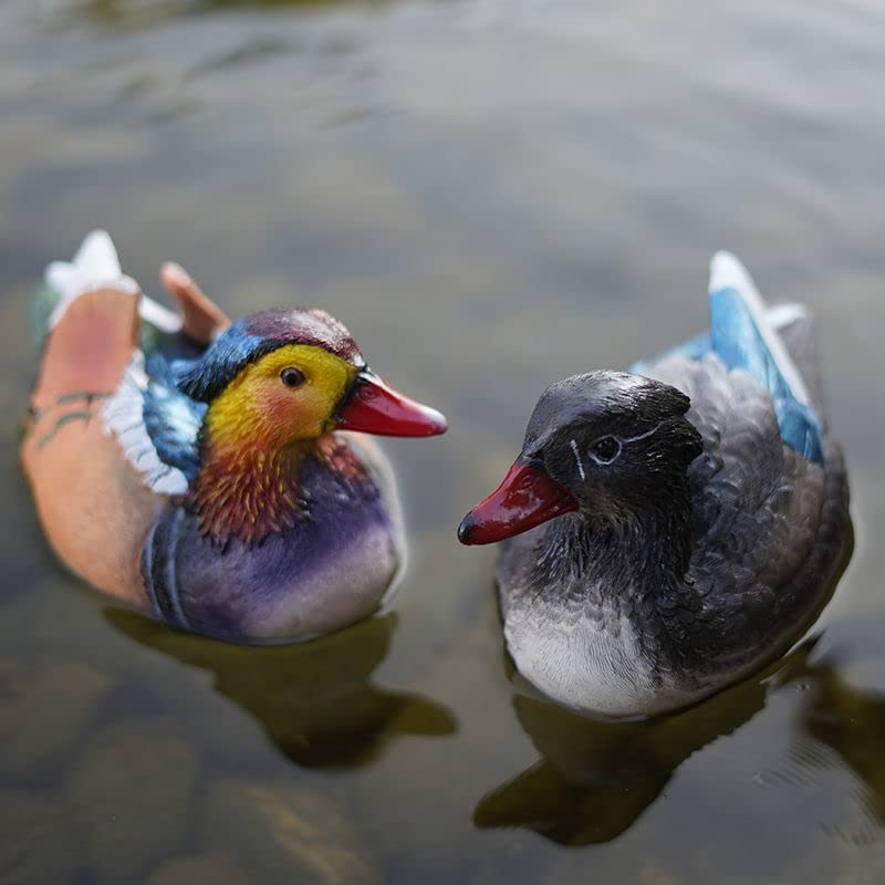 Canard mandarin flottant pour bassin de jardin | Lot de 2 décors résine pour étang