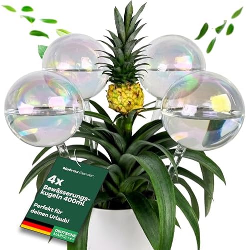Netrox Bewässerungskugeln Pflanzen aus Glas - 4x400ml - wässert bis 14 Tage | automatische Pflanzenbewässerung für Pflanzen, Urlaub Bewässerung, Blumen & Garten – Bewässerungssyste