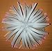 Aquarium Fish Tank Silicone Sea Anemone Artificial Coral Ornament RT172L white