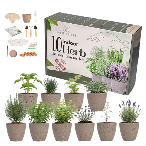 Window Herb Garden Kit – 10 GMO-Free Indoor Herbs with Biodegradable Bamboo Pots – Eco-Friendly Kitchen Planter Set for Easy Gardening & Sustainable Growing – A Unique Gift for Women and Kids