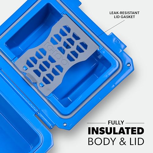 Igloo Gripper CoolBox 10 Qt Cooler, Sneaky Blue - image 4