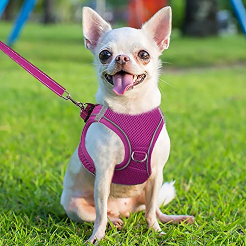Joytale Step in Dog Harness,Soft Mesh Reflective Breathable Vest Harnesses,Easy Walk Harness with Safety Buckle for Puppies and Extra Small Dogs,XS,Hotpink - Image 2