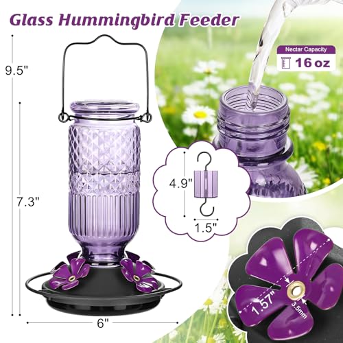Image of FEED GARDEN Glass Hummingbird Feeder for Outdoors Hanging, 16 oz Leak-Proof Nectar Feeder with Bee Guards & Ant Moat, 4 Metal Flower Feeding Ports, 360 Perch Ring, Easy Refill & Clean, Purple 2 Pack