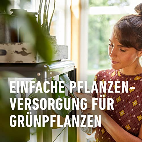 Düngestäbchen für Grünpflanzen und Palmen mit Guano von Compo