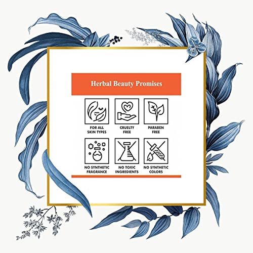Image of Khadi Aloevera Shampoo (Paraben Free) 210ml