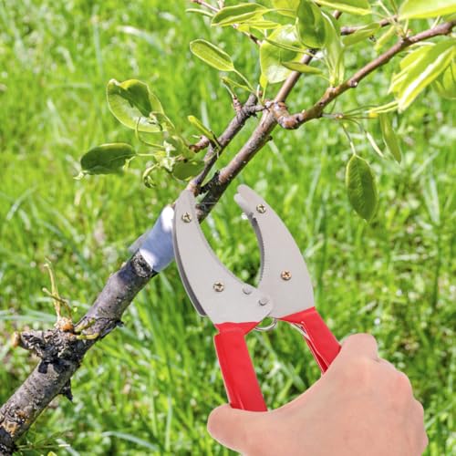 Herramienta ajustable para poda de árboles frutales miniatura 3