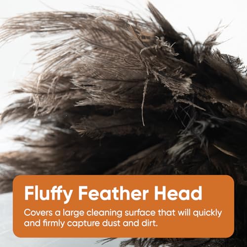 Image of Superio Ostrich Feather Duster Fluffy Dust Remover, with Wooden Handle Reusable for Cleaning Homes, Ceilings, and Furniture (6 Pack)