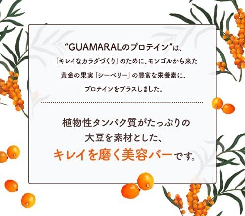 Amazon.co.jp: グアマラル サジー シーベリー プロテインバー 無添加 