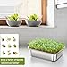FANHAO 2-Pack Sprouting Tray Kit, Stainless Steel Soil-Free Cultivation Germination Tray, Healthy Wheatgrass Grower Sprouting Container Kit Nursery Tray for Indoors Plant Seedlings