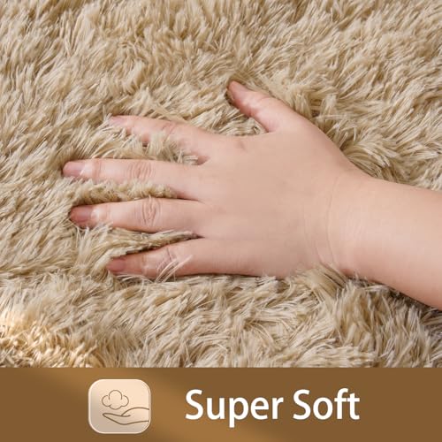 HOMORE Small Rugs for Bedroom 2x3 Feet Beige Rug for Bedroom Bedside Soft Fluffy Area Rugs for Desk Indoor Entrance Door Mat, Small Runner Rugs and Carpets for Dorm Nursery, Light Tan