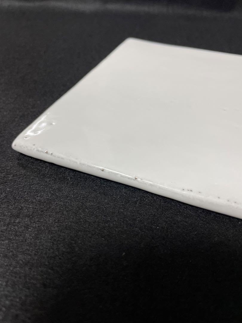 Coldert プレート【ASTIER de VILATTE アスティエ】 Amazon.co.jp: Coldert プレートASTIER de VILATTE アスティエ : おもちゃ