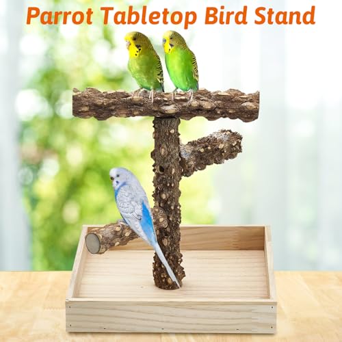 Image of BNOSDM Portable Bird Perch Stand with Potty Tray, Natural Wood Tabletop Training Gym Parrot Playground Toy for Budgies, Cockatiels, Lovebirds,Conures Canaries