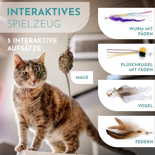 LENOK Katzenangel Spielzeug mit Saugnapf und Federn - Interaktives Katzenspielzeugset mit Vogelsimulation - Spielangel für Katzen - Lang – Bild 4