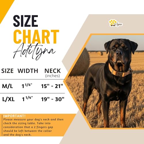Image of ADITYNA Leather Dog Collar for Large & Extra Large Dogs, Adjustable 19-30 inch | Padded, heavy-duty metal buckle. Great for walking, training - ideal for Rottweiler, German Shepherd, Mastiff and Great Dane.