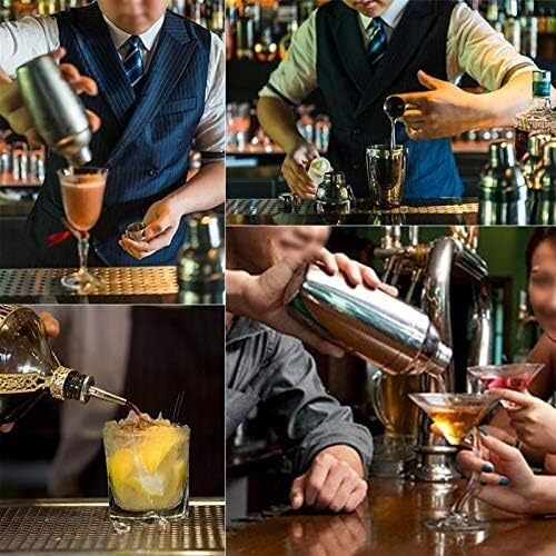Shaker Cocktail Kit, 13 pièces Ensemble Premium Barware Ensemble Barre en Acier Inoxydable Cocktail Shaker Ensemble Barman Kit Shakers Bar Outils avec Support à vin