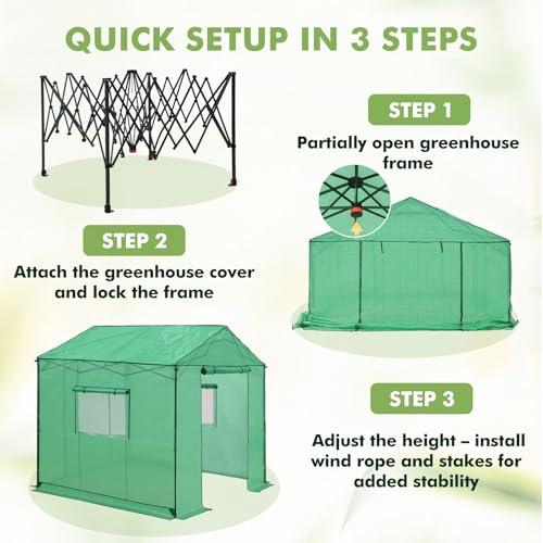 EAGLE PEAK 8x8 Portable Pop Up Greenhouse, Patented Center Lock Easy One Person Setup, Walk-in Outdoor Greenhouse with Gable Roof, Weight Bags, Zippered Doors & Windows, Green - Image 7