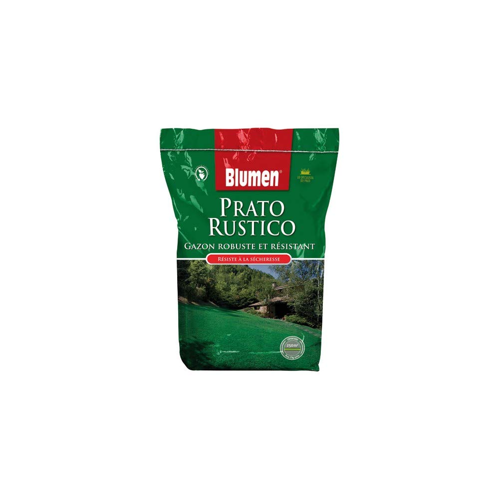 Sementi Prato Rustico 5 kg + 1 kg omaggio - Resistente e Robusto