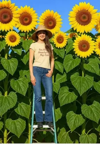 Skyscraper Sunflower Seeds for Planting 100+ Heirloom Seeds Grows 1520 ft Tall with Giant Blooms Non-GMO Open-Pollinated USA Grown