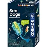 Dieser KOSMOS Experimentierkasten bietet einen ersten Einblick in die Welt der Biologie und ist ein spannendes Geschenk für Kinder ab 8 Jahre.