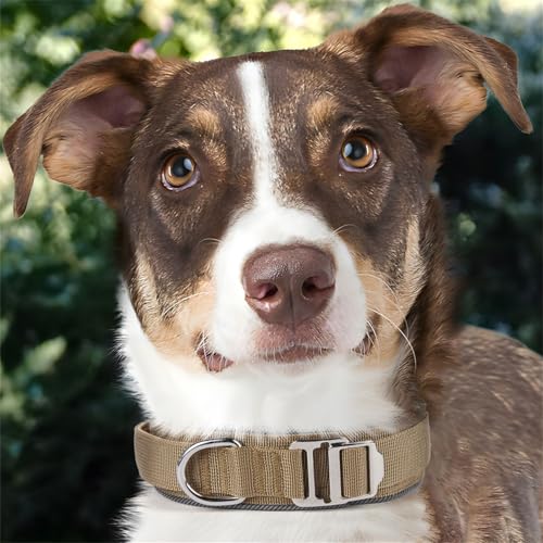Sicheres reflektierendes Hundehalsband, weich gepolstert, verstellbares Halsband für Training und Kontrolle, reflektierender Hund Freien zur Erhöhung der Sicherheit, nachts sicher, verstellb-4