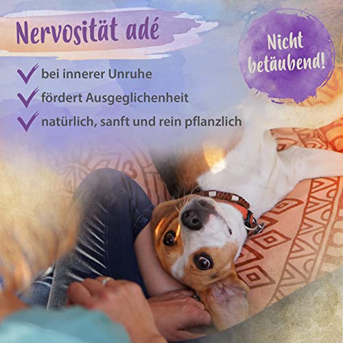 Beruhigungsmittel für Hunde – Ida Plus Softie natürlich