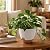 TYMENSH Plant Pots 12/10/9 inch Set of 3, Self Watering Flower Pots Indoor Outdoor, Planters with Drainage Hole Saucer Reservoir, White