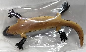 希少本アメリカドクトカゲ洋書 ヒラモン ギラモン 全亜種解説有り Gila モンスター Heloderma Suspectum - アメリカドクトカゲの