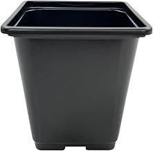 Oakland Gardens Square Plant Pots 3 Litre Plastic Flower Hydroponic Pot (8 x 3 Litre Square Pots)